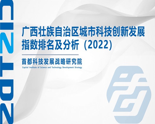 美女被艹骚逼网站【成果发布】广西壮族自治区城市科技创新发展指数排名及分析（2022）